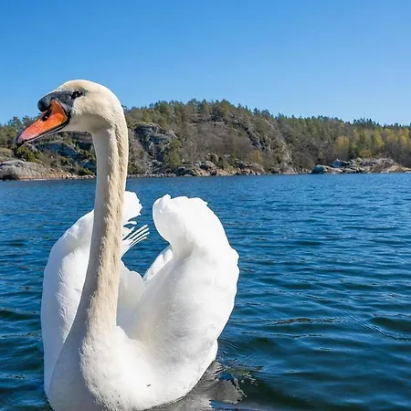 Explore Haoya Nature Reserve Tatil Evi