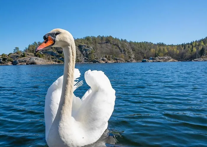 Explore Haoya Nature Reserve Tatil Evi